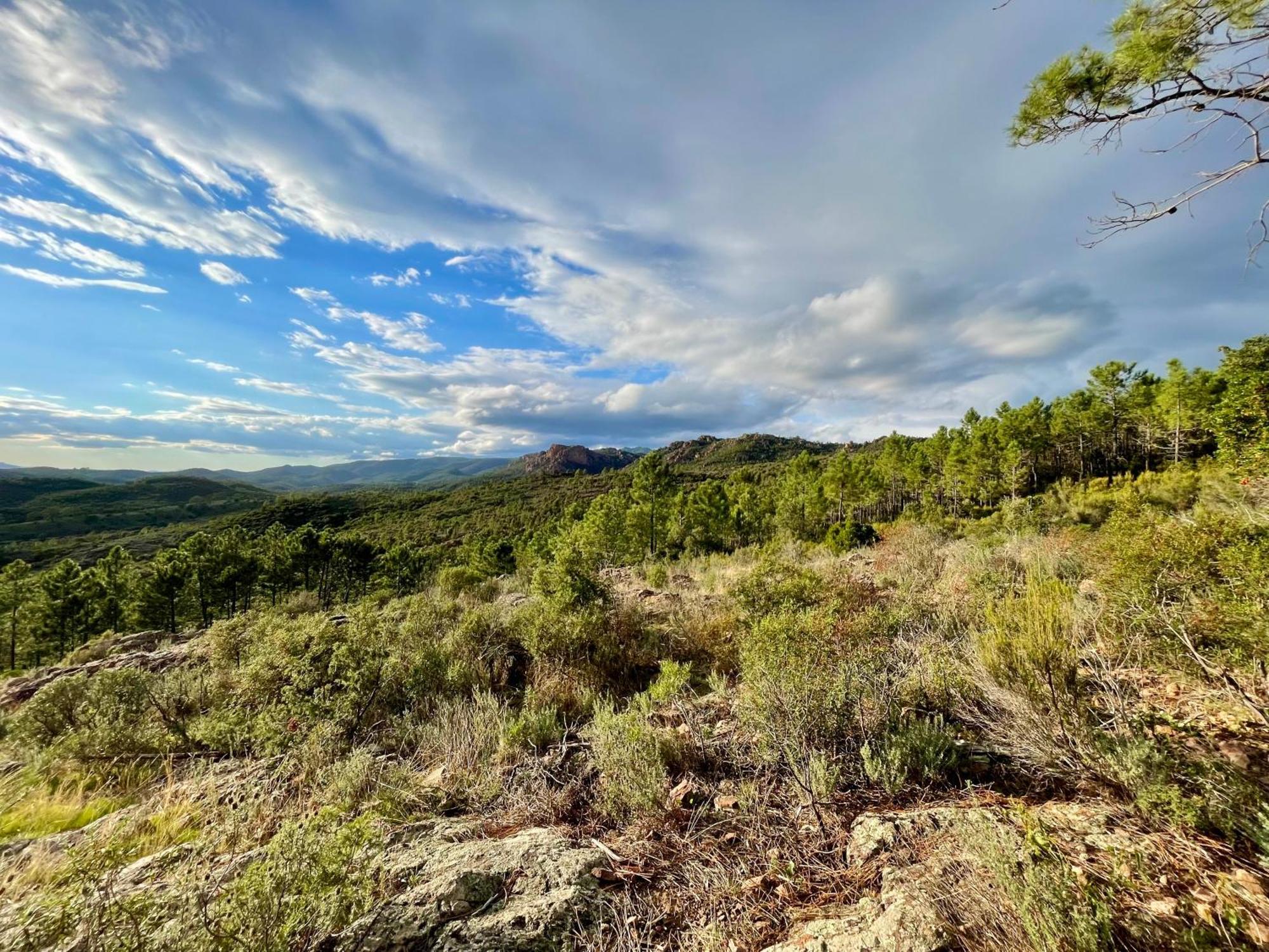Village Cap Esterel, Piscine, Plage แซ็งต์-ราฟาเอล ภายนอก รูปภาพ